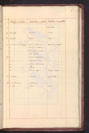 List of birds in the sixth volume of birds