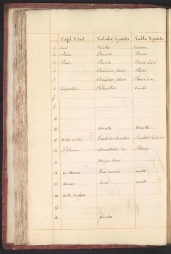 List of Birds in the Eighth Volume of Birds