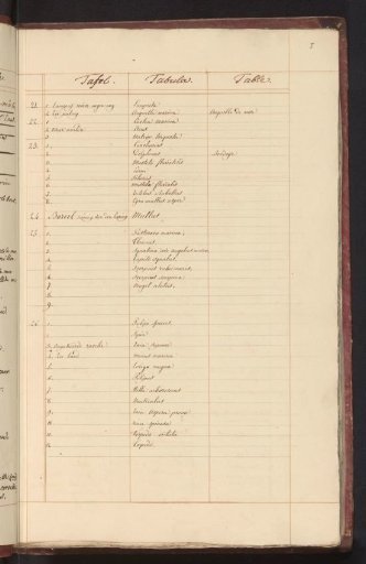 List of fish in the first part of the sea fish
