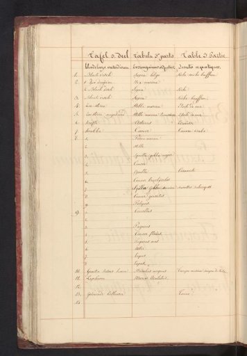 List of the mollusks, crustaceans, and shells in the third part