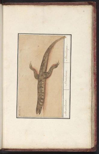 Basilisk