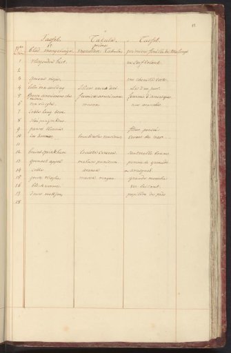 List of animals and plants in the first ensemble