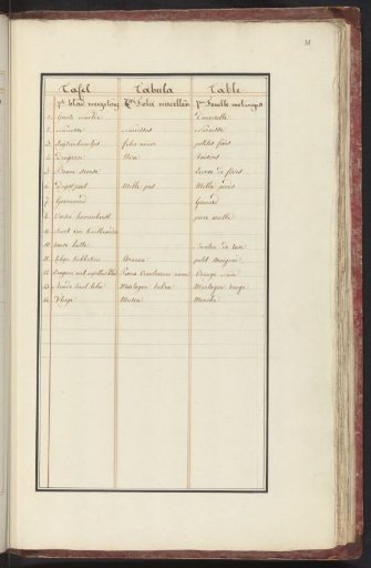 List of animals and plants in the seventh ensemble