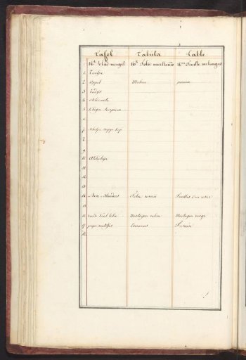 List of animals and plants in the sixteenth ensemble