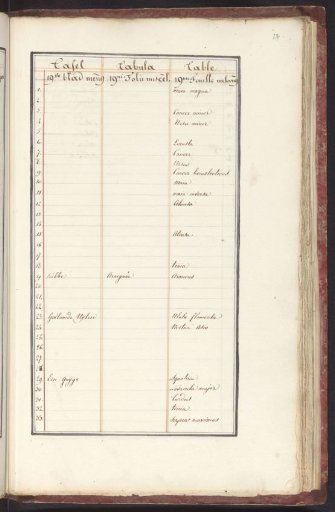 List of animals and plants in the nineteenth ensemble