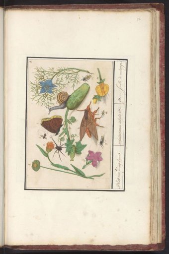 Natural History Ensemble (no. 3)