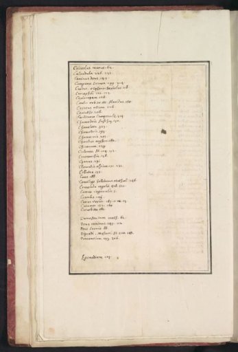 Alphabetical list of the Latin names of the depicted flowers C-E