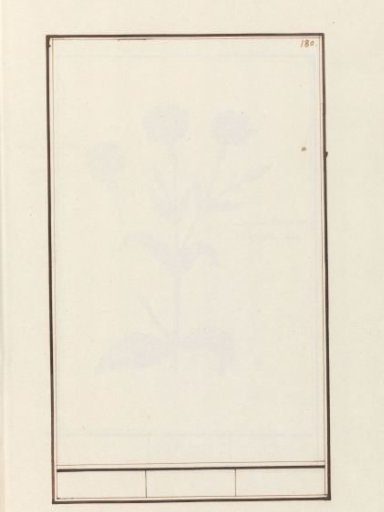 Blank page