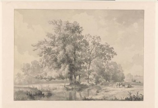 Landscape with cattle