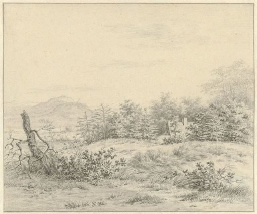 Dune landscape near Bloemendaal