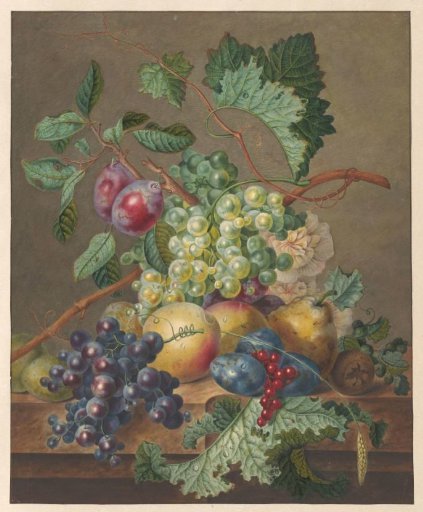 Still Life with Fruit