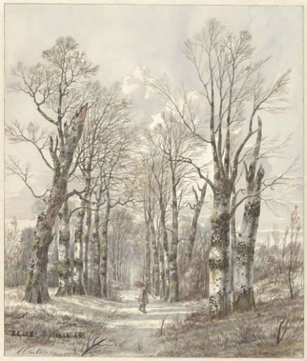 Winter landscape with a wood gatherer on a forest path