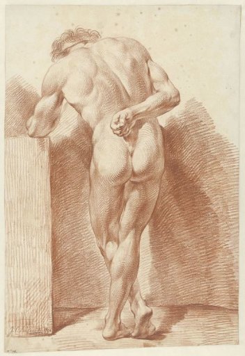 Standing male nude, seen from the back