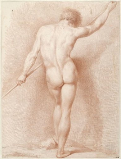 Standing male nude, seen from the back