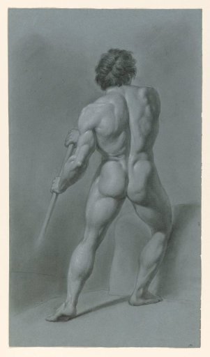 Standing male nude, seen from the back