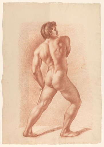 Standing male nude, seen from the back