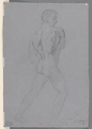 Standing male nude