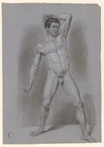 Standing male nude, seen from the front