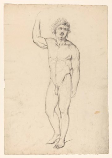 Standing male nude, seen from the front
