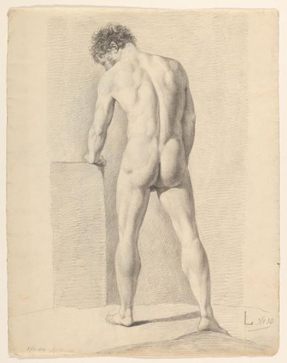 Standing male nude, seen from the back