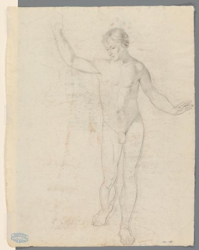Standing male nude, seen from the front