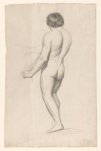 Standing male nude, seen from behind