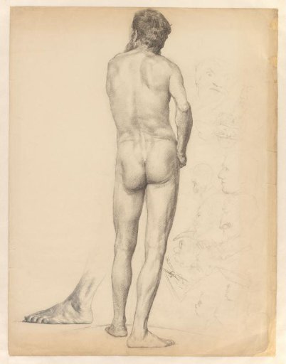 Seated male nude, seen from the back