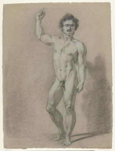 Standing male nude, front view
