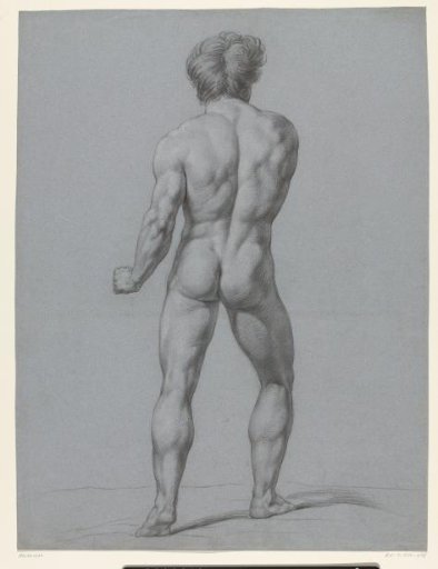 Standing male nude, seen from behind