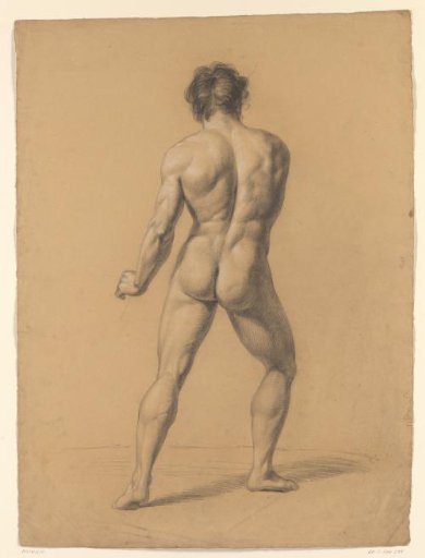 Standing male nude, seen from behind