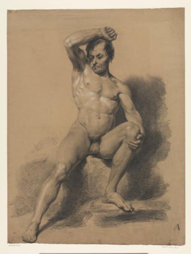 Seated male nude, from the front