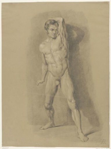 Standing male nude, from the front