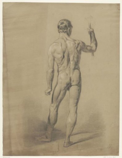 Standing male nude, seen from behind