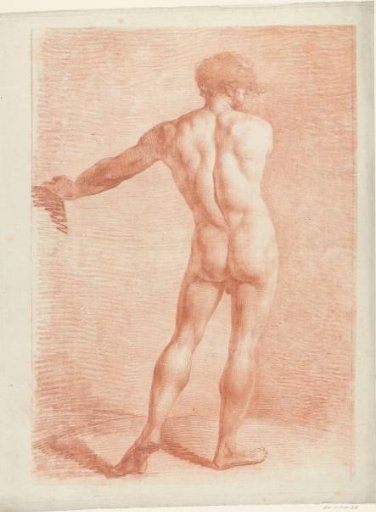 Standing male nude, seen from the back