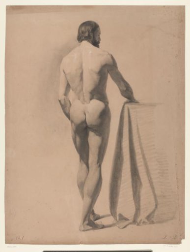 Standing male nude, seen from the back