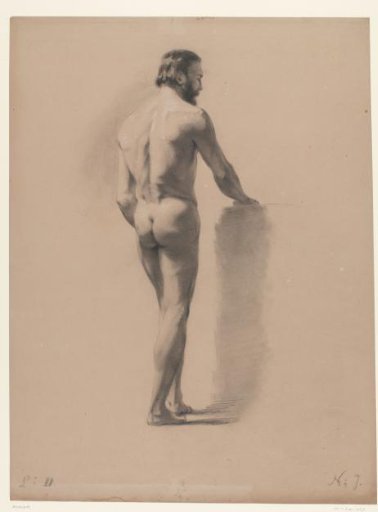 Standing male nude, seen from the back