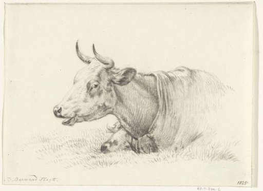 Reclining cow, facing left