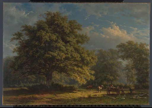 View in the Forest of Bentheim
