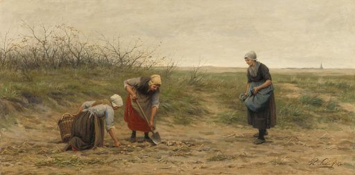 Schevening Women After Harvesting a Cleared Potato Field