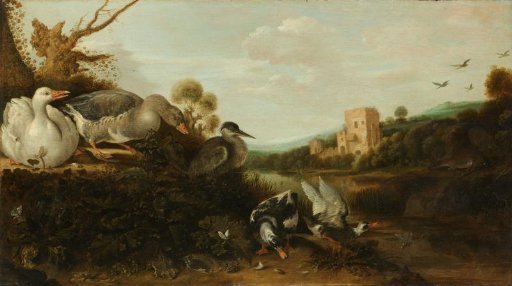 Waterfowl