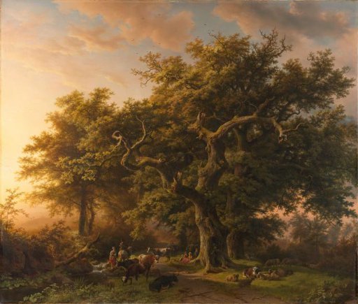 Forest View
