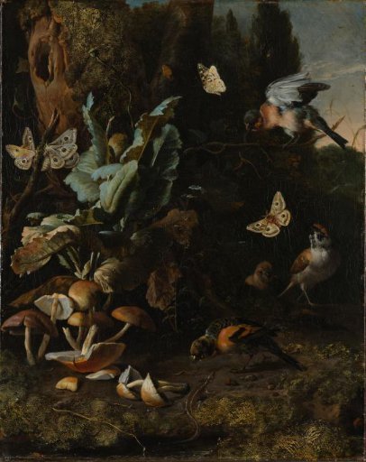 Forest Floor with Birds, Butterflies and a Lizard