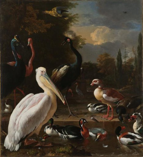 A Pelican and other Birds near a Pool, Known as ‘The Floating Feather’