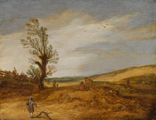A View in the Dunes
