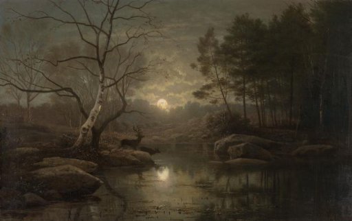 Forest Landscape in the Moonlight