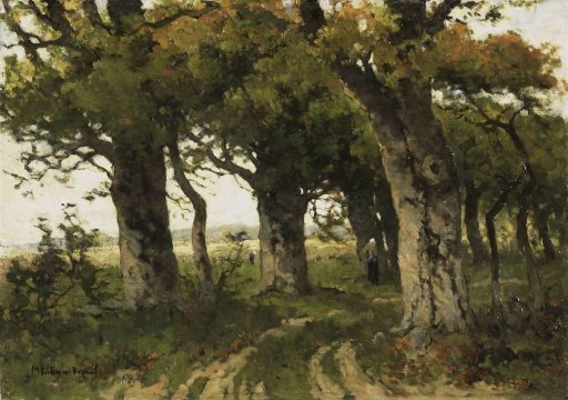 Oak Avenue in Late Summer