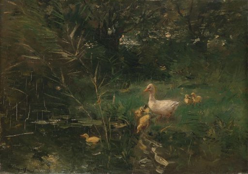 Ducks