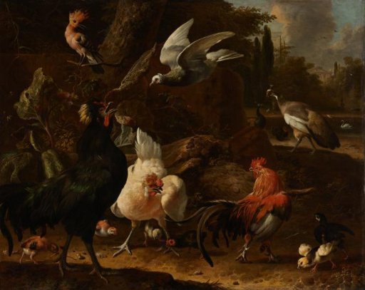 Birds in a Park