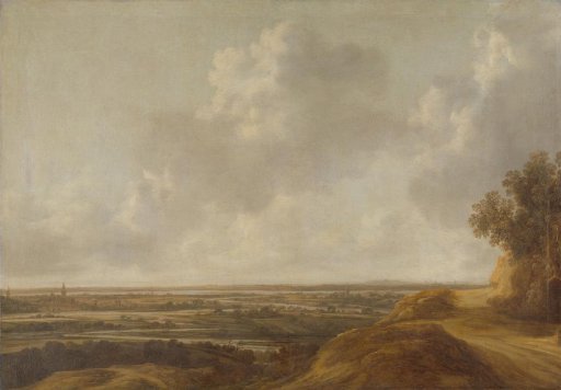 Panoramic Landscape