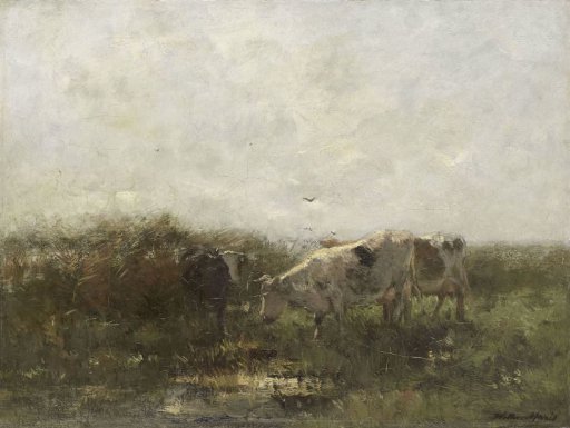 Cows
